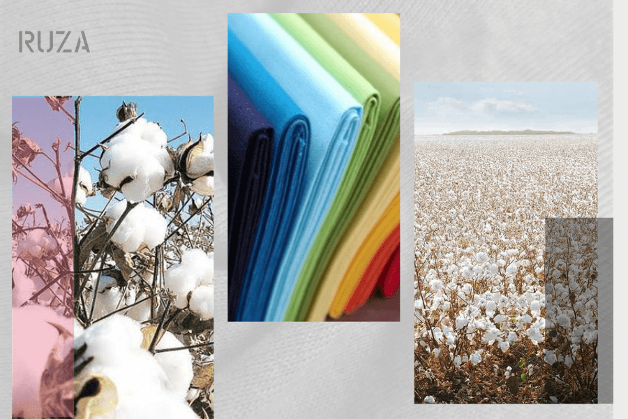 Vải cotton là gì? Ưu nhược điểm và các loại vải cotton hiện nay 8 Nguồn gốc xuất xứ của vải cotton