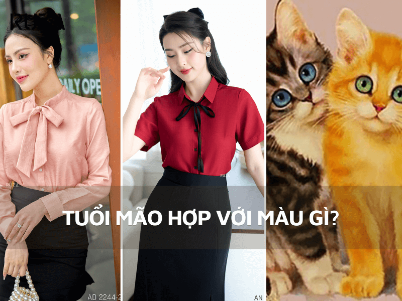 Tuổi Mão hợp màu gì? Gợi ý màu sắc trang phục đen lại may mắn