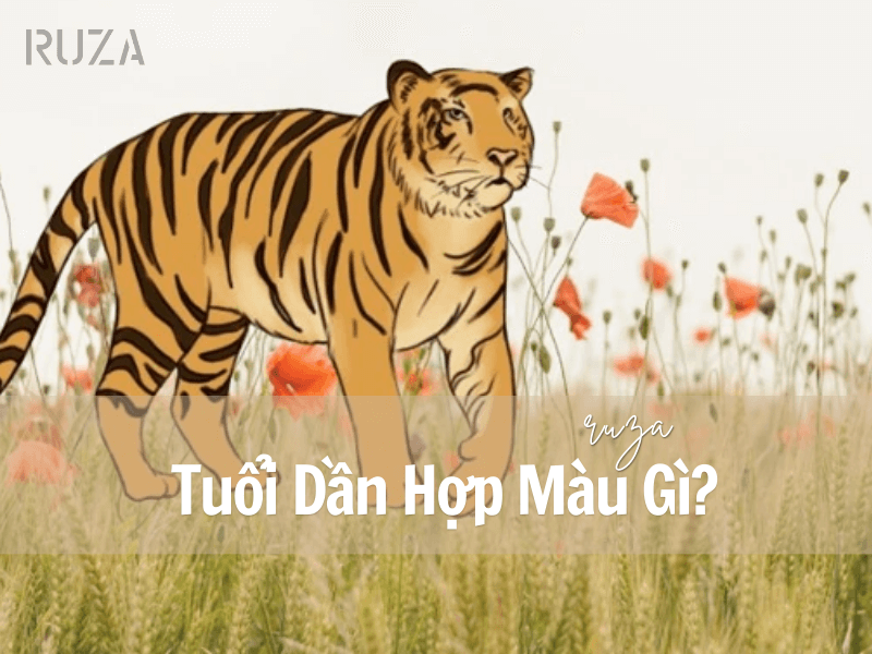 Tuổi Dần hợp màu gì?