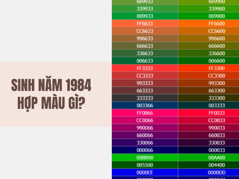 Sinh năm 1984 ăn ý màu sắc gì?