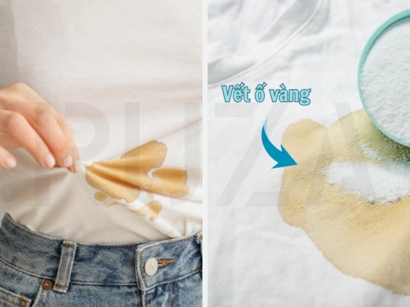 Cách Bảo Quản Áo Thun Trắng Tinh, Không Bị Ố Vàng 6 Bảo quản quản áo thun trắng